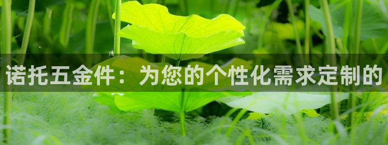 天宏娱乐广西吴叔