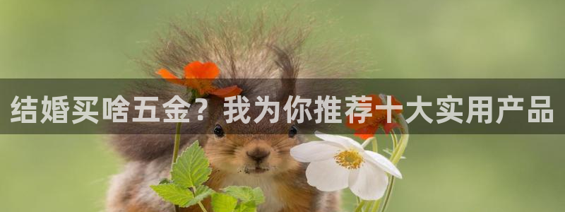 金叔直播天宏娱乐直播